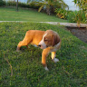 Meet your Posher, Gay